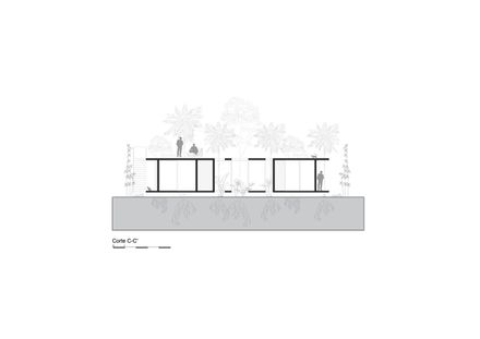 A Forest In The House