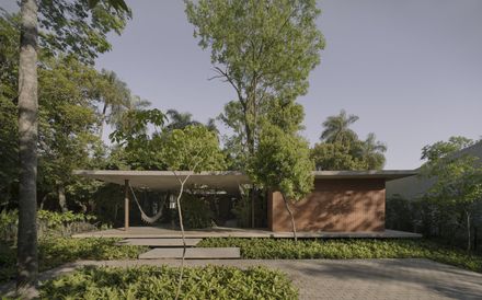 A Forest In The House