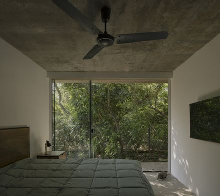 A Forest In The House