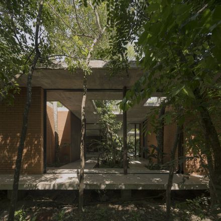 A Forest In The House