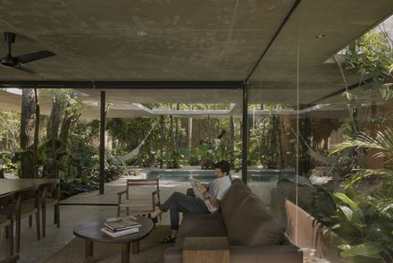 A Forest In The House