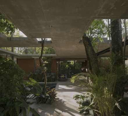 A Forest In The House