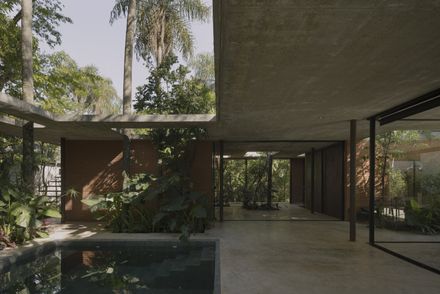 A Forest In The House