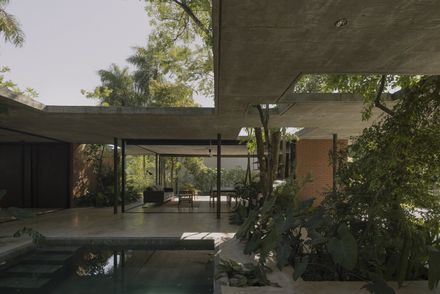 A Forest In The House