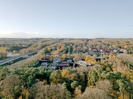 Common Woods