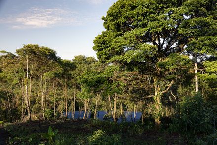 Hoguera De Madera Refuge