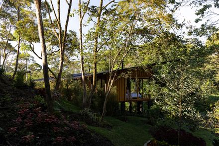 Hoguera De Madera Refuge