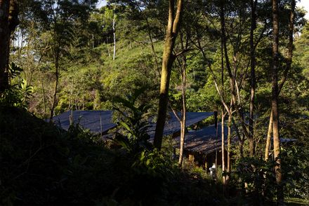 Hoguera De Madera Refuge