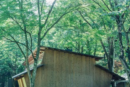 Three Roofs Timber Hall