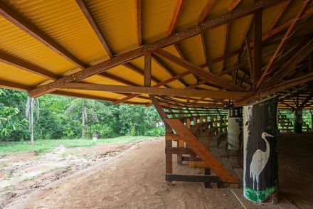 Sacred Yawanawa Village