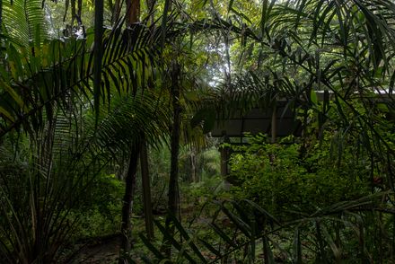 Refuge In The Rainforest - Tour Guide Training Center