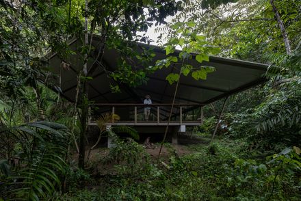 Refuge In The Rainforest - Tour Guide Training Center