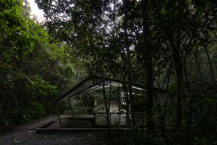 Refuge In The Rainforest - Tour Guide Training Center