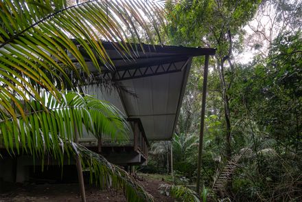 Refuge In The Rainforest - Tour Guide Training Center