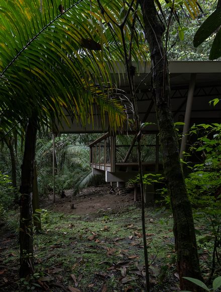 Refuge In The Rainforest - Tour Guide Training Center