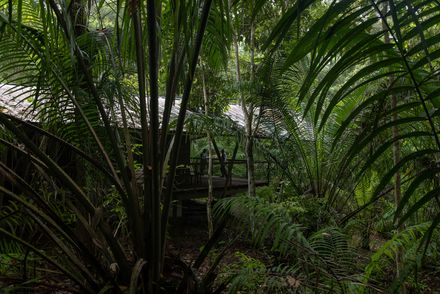 Refuge In The Rainforest - Tour Guide Training Center