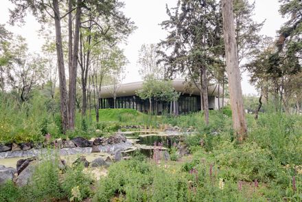 Chapultepec Forest Scenic Garden