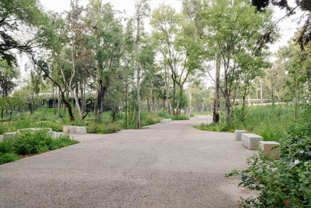 Chapultepec Forest Scenic Garden