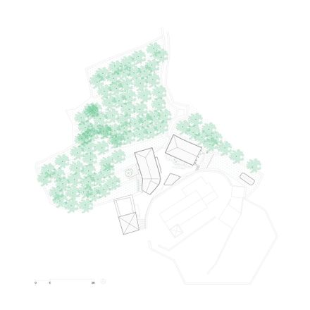 The Sister Houses