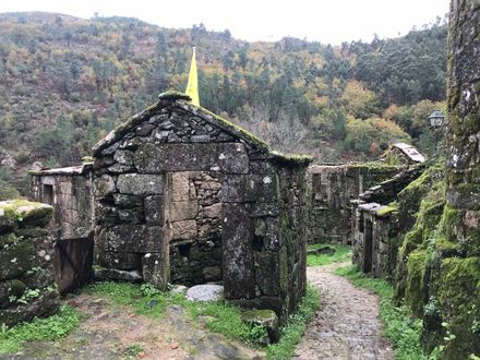 The Sister Houses