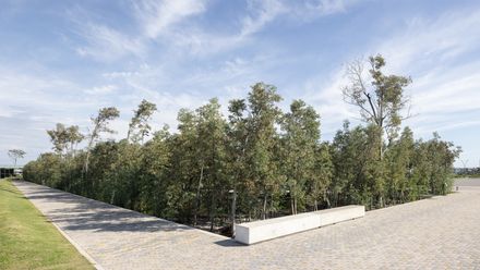 Malba Forest