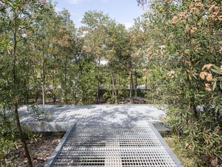 Malba Forest
