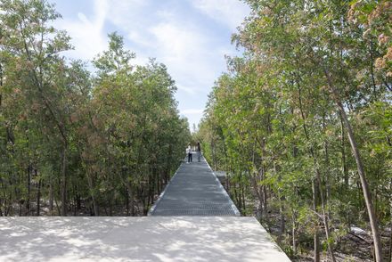 Malba Forest