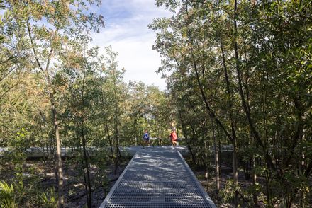 Malba Forest
