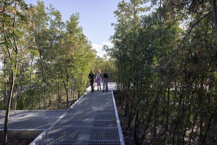 Malba Forest