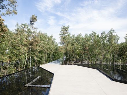 Malba Forest