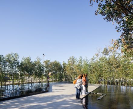 Malba Forest