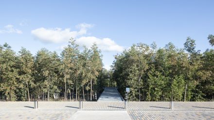 Malba Forest