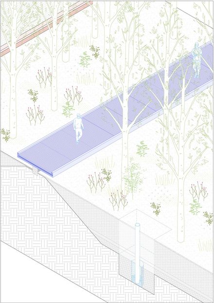 Malba Forest