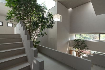 Stepped Well House