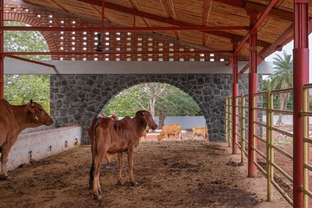 Gaughar Animal Husbandry