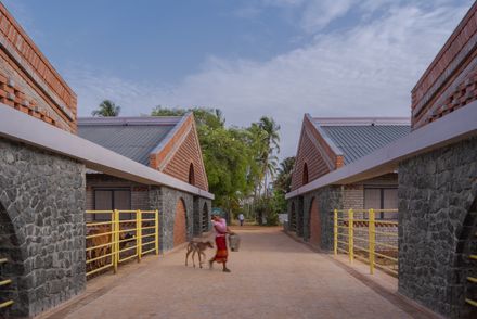 Gaughar Animal Husbandry
