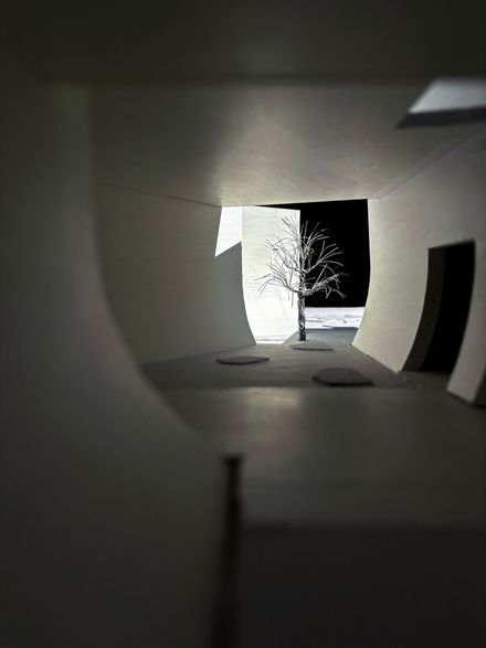 Chenhu Wetland Art Center