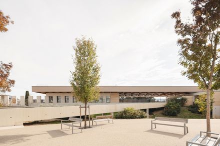 Voltaire College