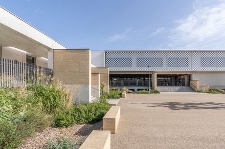 Voltaire College