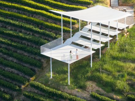 Floating Pavilion