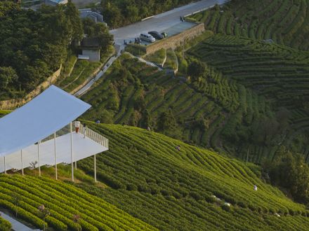 Floating Pavilion
