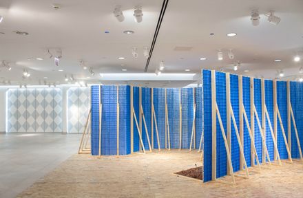 The Embellished, The Transient, And The Critical Installation