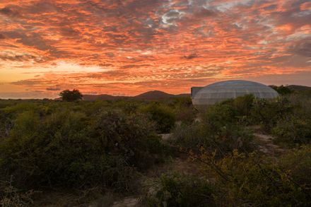 Casa Wabi Mushroom Pavilion