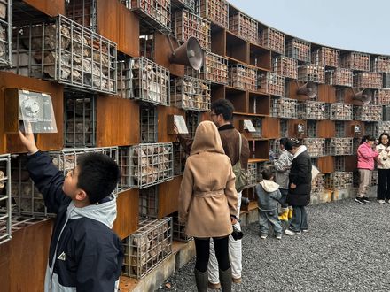 "Echo Of The Ruins" Open-air Museum Of Sound And Memory
