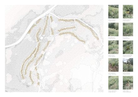Taller Agropoetico - Foresta Collective