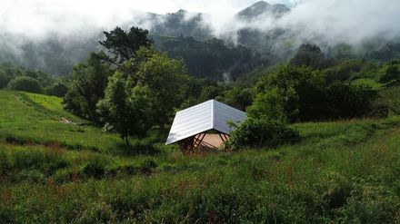Taller Agropoetico - Foresta Collective