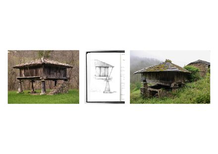 Taller Agropoetico - Foresta Collective