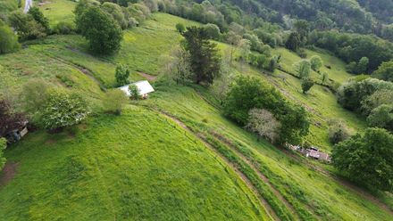 Taller Agropoetico - Foresta Collective