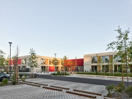 School Complex Of The Olive Tree