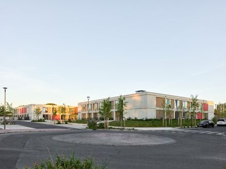School Complex Of The Olive Tree